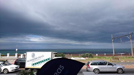 Save Our Seas Shark Centre